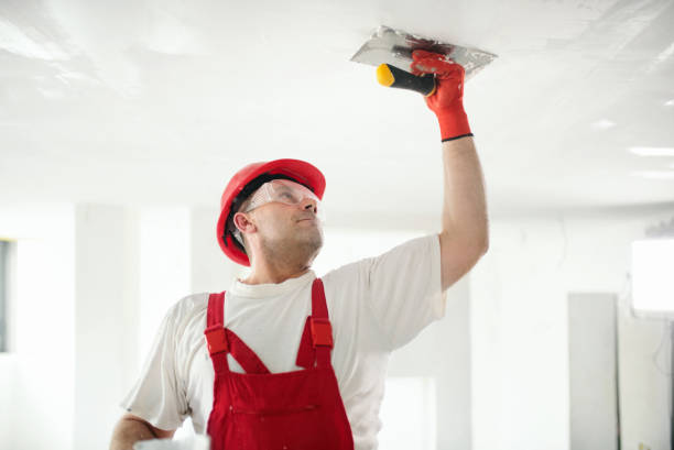 Herrin, IL Drywall & Painting Services Company